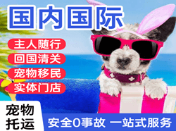 赤峰空运国际宠物托运 【国